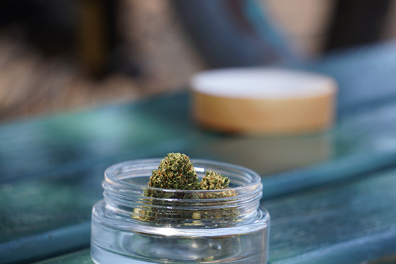 A clear short round glass jar sits on a blurred tabletop with two marijuana buds sticking out the top- one taller than the other. The jar