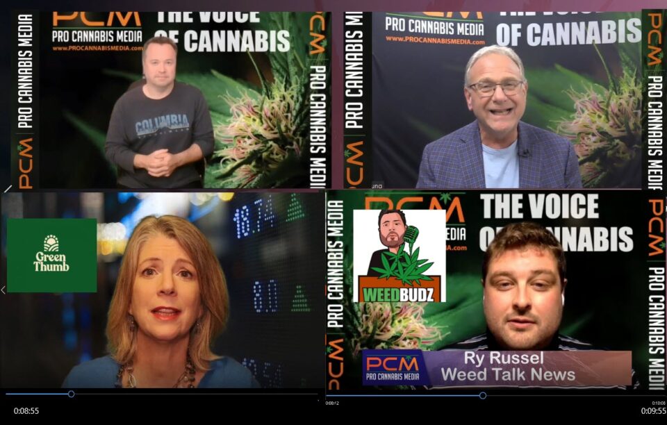 The World of Weed – Weed Talk NEWS Goes Legalization or Decriminalization
