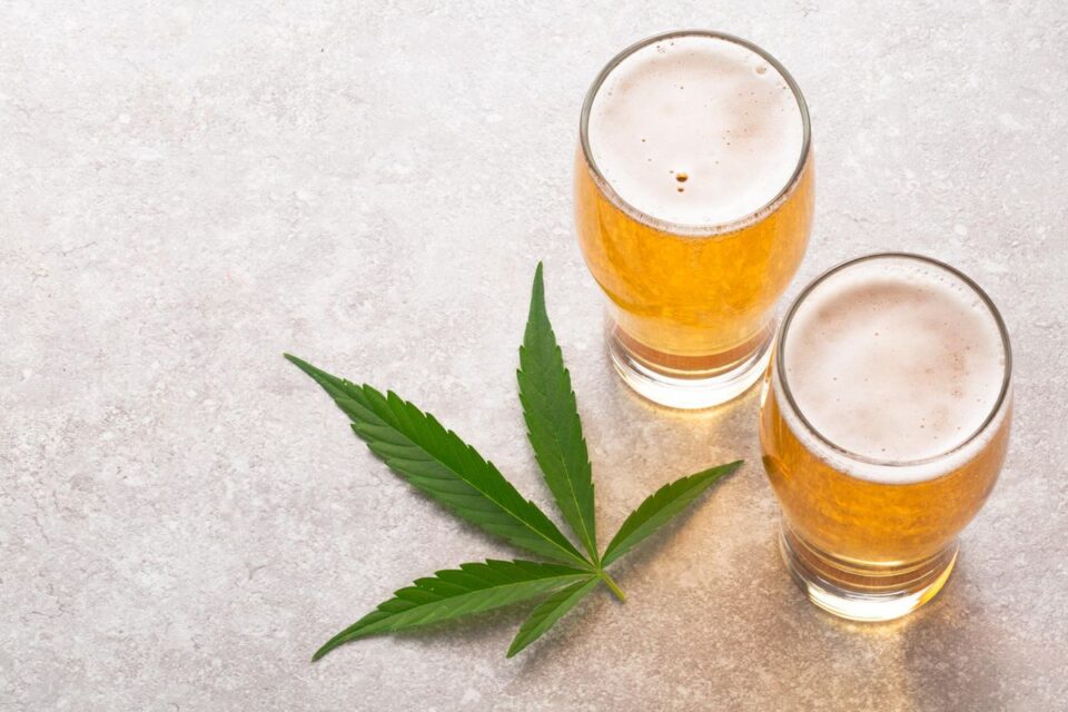 Cannabis Abstinence Is Tied To More Alcohol Use For Teens And Young Adults, Study Finds