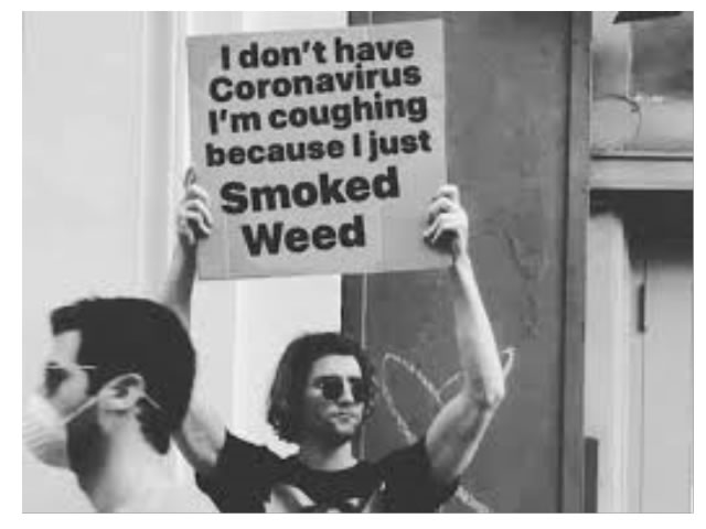 No Covid Just Smoke Weed