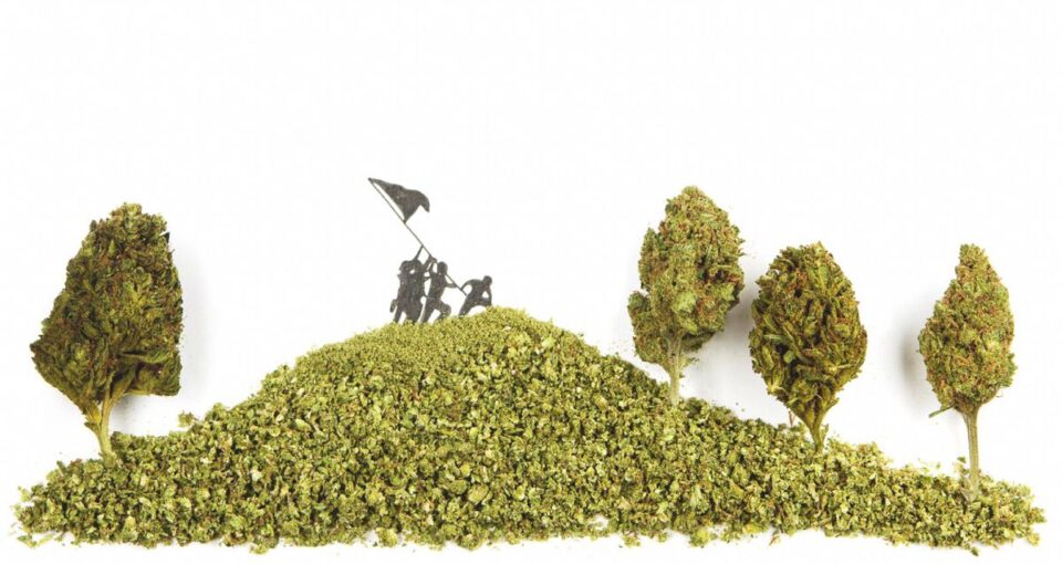 Exploring Cannabis Culture Through Flower-Based Art