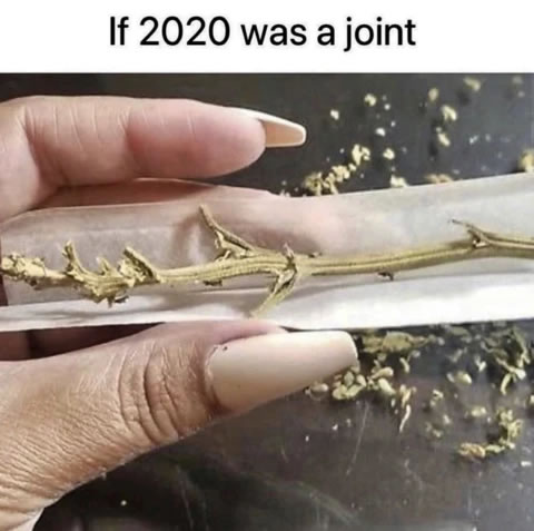 If 2020 Was A Joint – Weed Memes - Cannabis3000.com