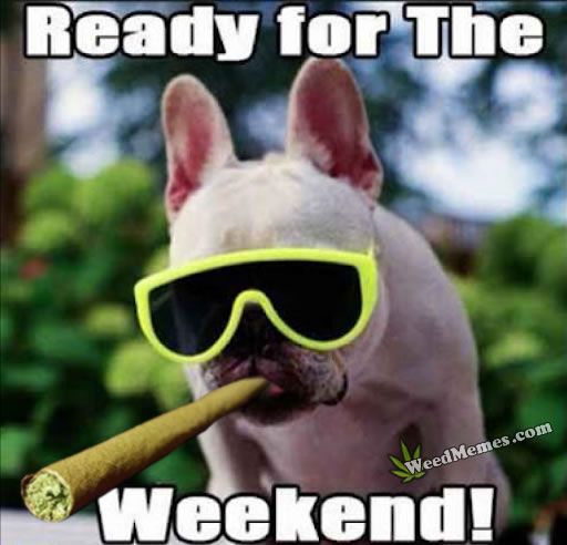ready-for-weekend-weed-memes