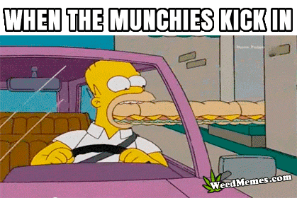 When The Munchies Kick In – Simpsons Cartoon Weed Memes