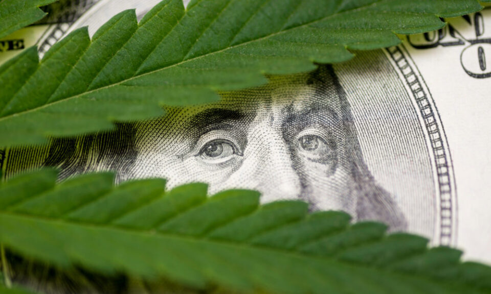 Michigan Cannabis Sales Increase Seven Percent in January – Culture Magazine