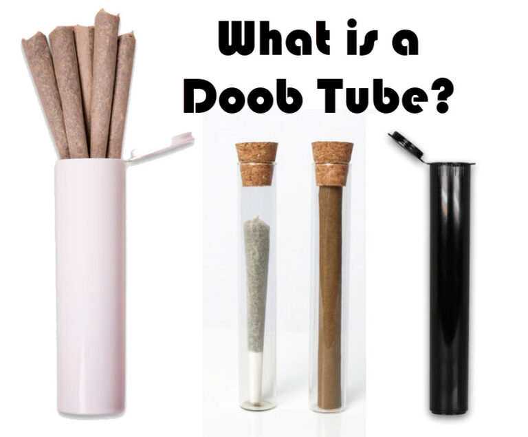The EyeOpening Evolution of the Doob Tube